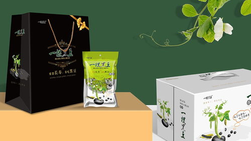 豆干包装设计 即食食品包装设计 广州包装设计公司
